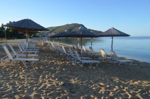 Organised Beach