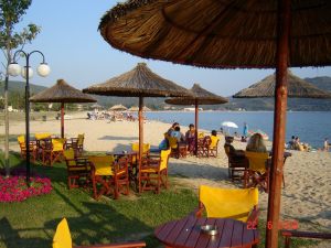 Beach Bar